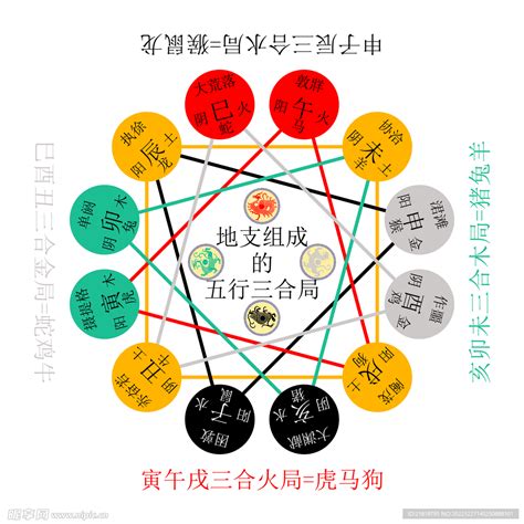 地支五行陰陽|地支